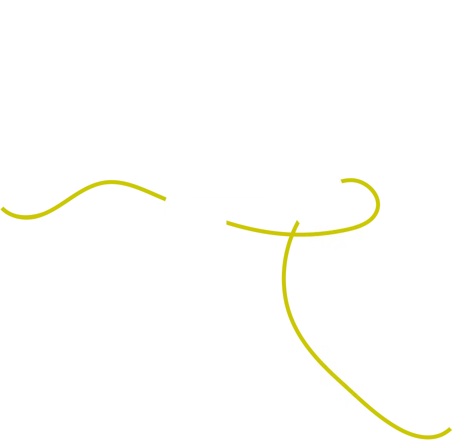anydress logo