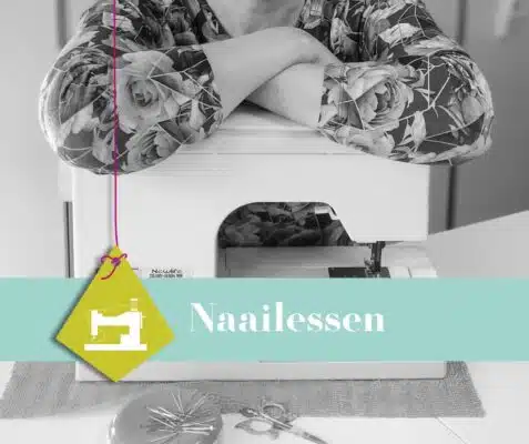 naailessen